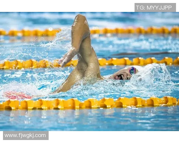 自由泳初学者必备技巧与训练建议助你快速入门提高游泳水平