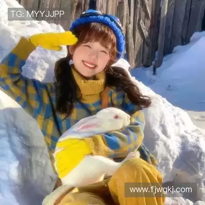 费冕靖